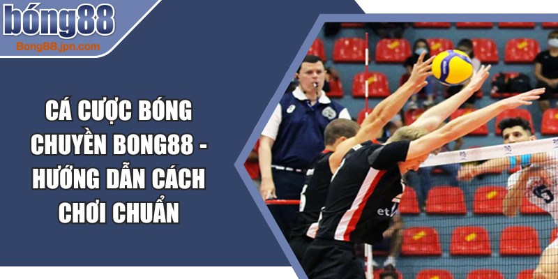 Cá Cược Bóng Chuyền BONG88