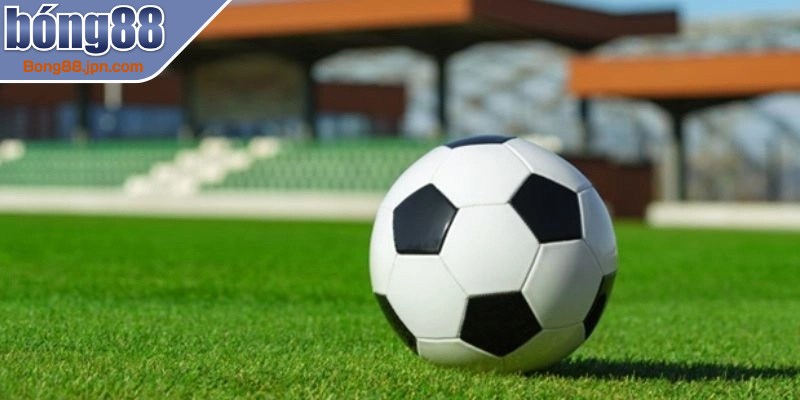 Để cập nhật dữ liệu nhanh bạn chỉ cần đăng nhập vào trang chủ chính thức