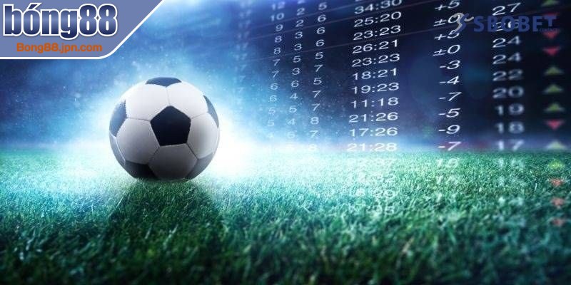 Hệ thống sảnh hoạt động dựa trên giấy phép của các tổ chức quốc tế 